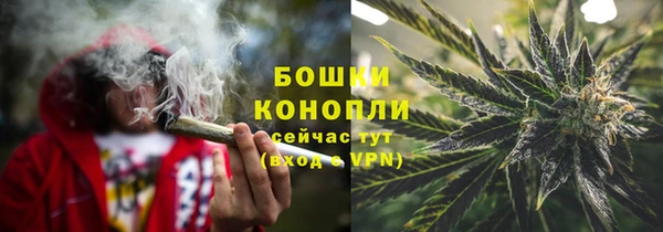 шишки Корсаков