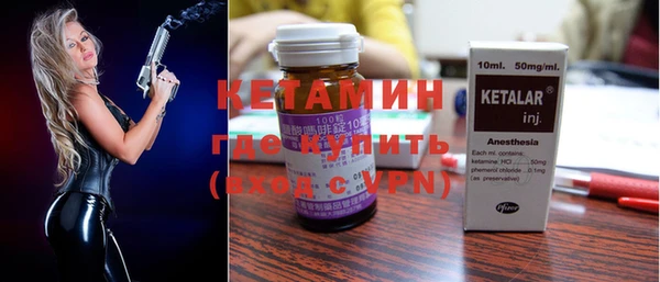 шишки Корсаков