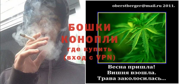 шишки Корсаков