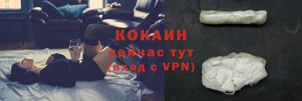 шишки Корсаков