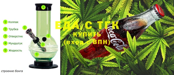 шишки Корсаков