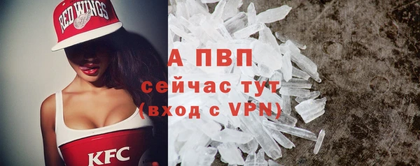 шишки Корсаков