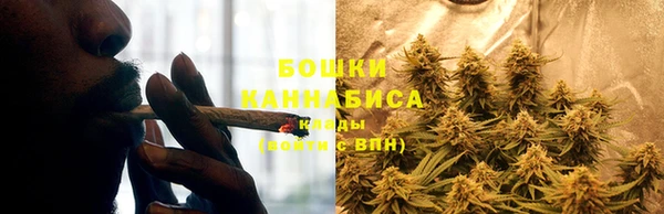 спайс Костерёво