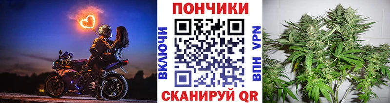 Бошки марихуана гибрид  Купить  Лебедянь 